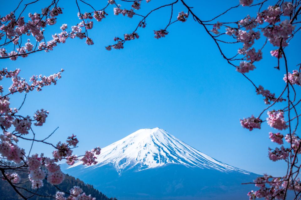 New Release - Sakura - IBM Watson and Microsoft Azure